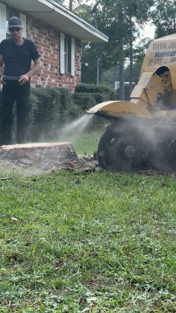 Business queued-photos - All American Tree Service & More LLC