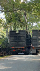 Business queued-photos - All American Tree Service & More LLC