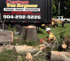 Business queued-photos - Fast Cut Tree Service