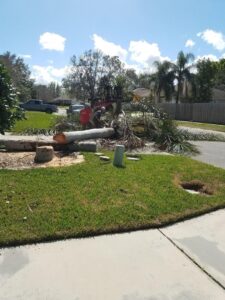Business queued-photos - Fast Cut Tree Service