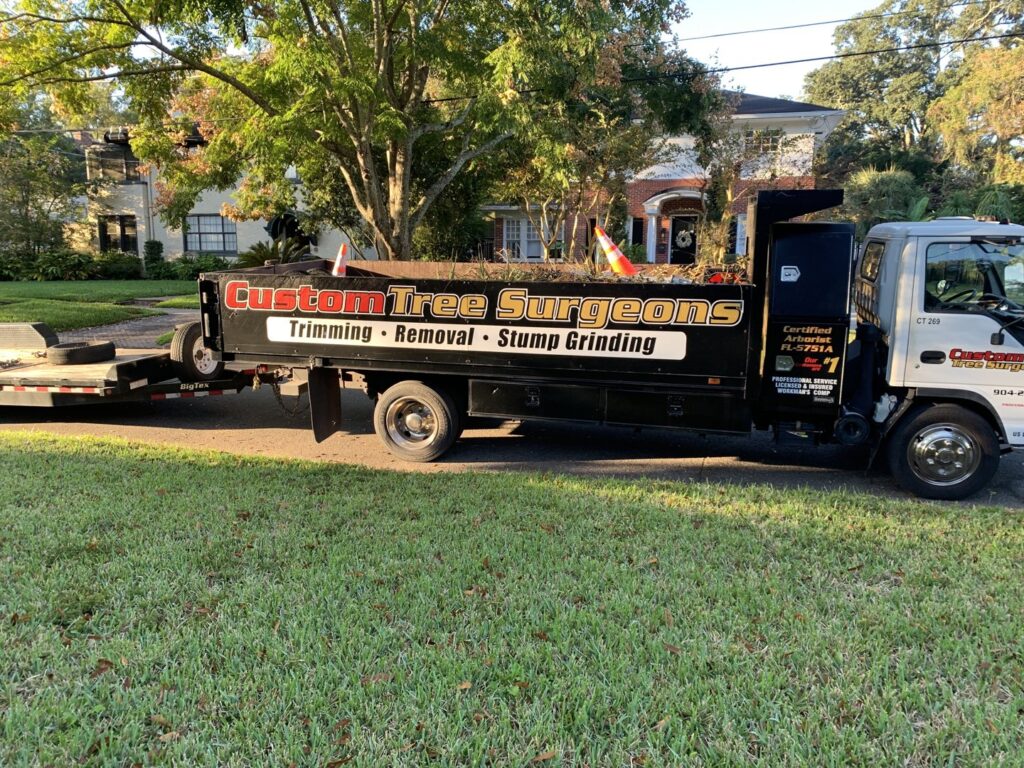 Business queued-photos - Fast Cut Tree Service