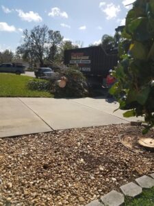 Business queued-photos - Fast Cut Tree Service