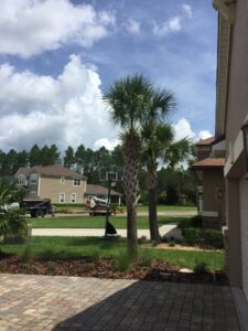 Business queued-photos - Fast Cut Tree Service