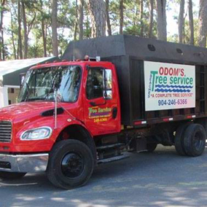 Business queued-photos - Odom’s Beaches Tree Service