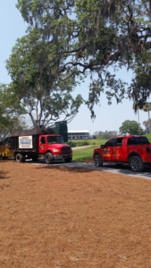 Business queued-photos - Odom’s Beaches Tree Service