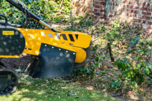 Business queued-photos - Odom’s Beaches Tree Service