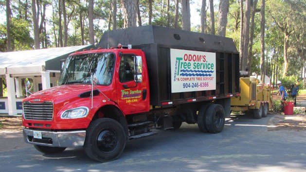 Business queued-photos - Odom’s Beaches Tree Service