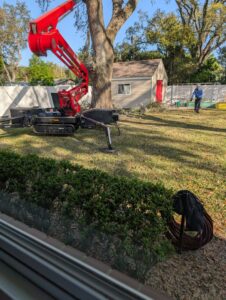 Business queued-photos - Odom’s Beaches Tree Service