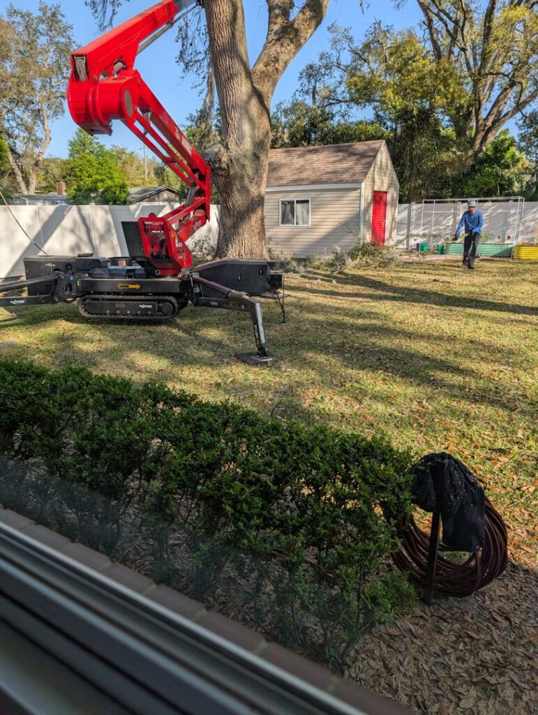 Business queued-photos - Odom’s Beaches Tree Service