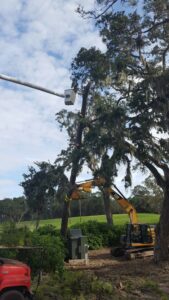 Business queued-photos - Odom’s Beaches Tree Service