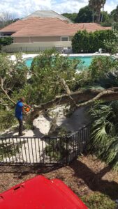 Business queued-photos - Odom’s Beaches Tree Service