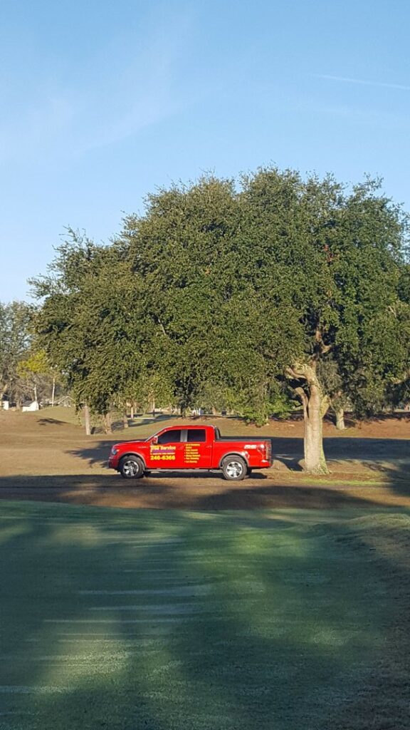 Business queued-photos - Odom’s Beaches Tree Service