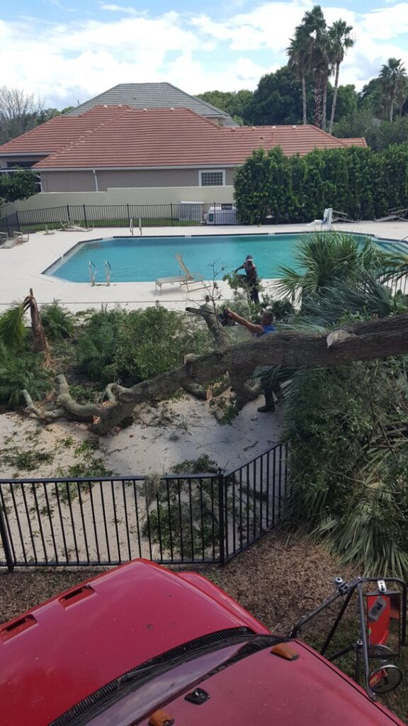 Business queued-photos - Odom’s Beaches Tree Service