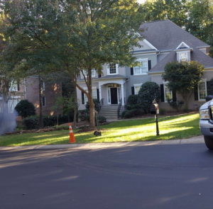 Business queued-photos - Alex’s Tree Service