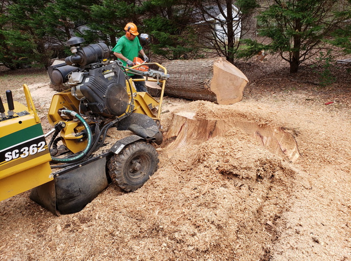 Business queued-photos - Alex’s Tree Service