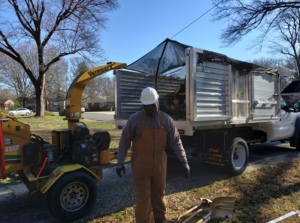 Business queued-photos - Alex’s Tree Service