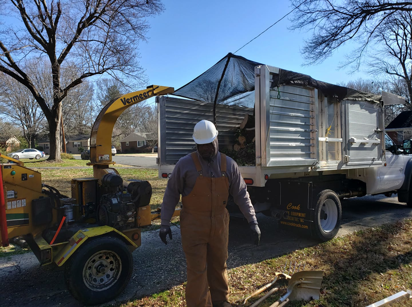 Business queued-photos - Alex’s Tree Service