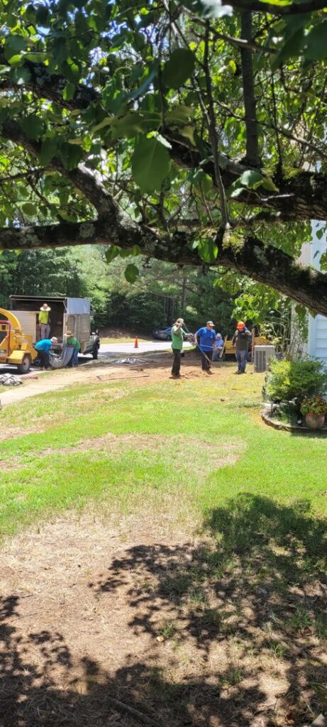 Business queued-photos - Alex’s Tree Service