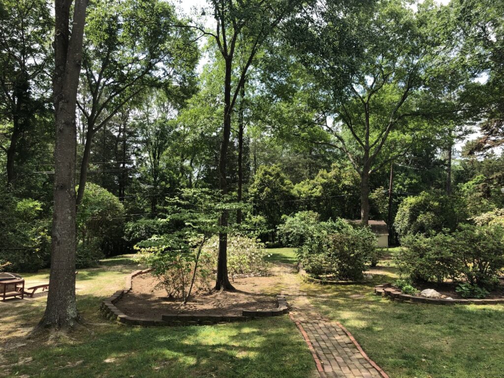 Business queued-photos - Alex’s Tree Service