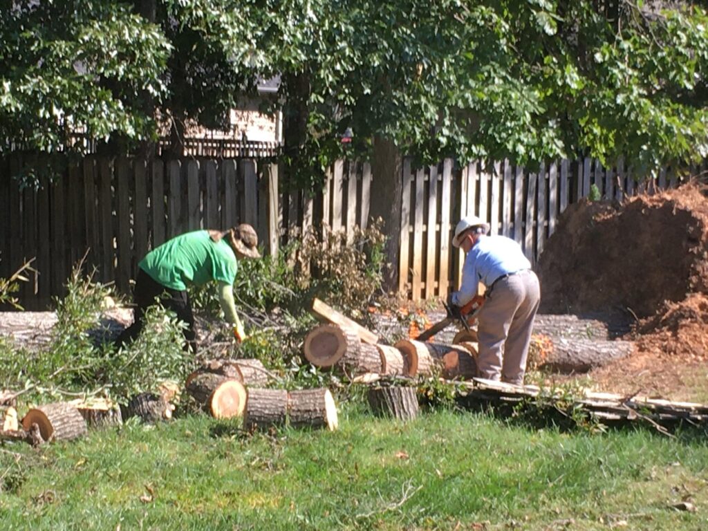 Business queued-photos - Alex’s Tree Service