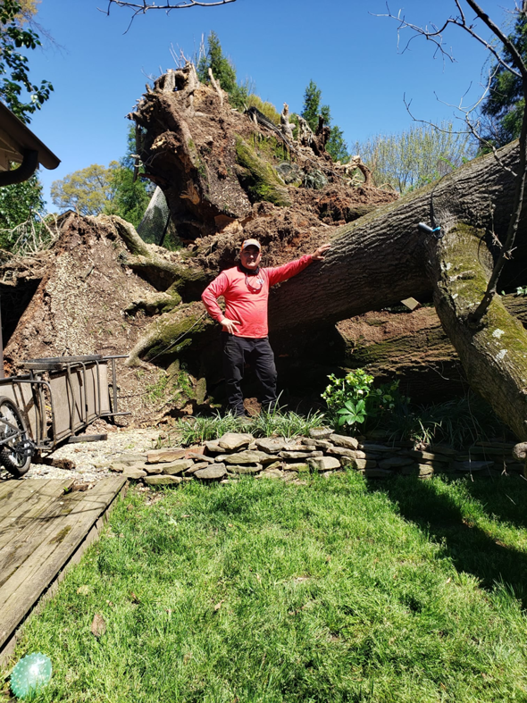 Business queued-photos - Union Tree Experts, Inc.