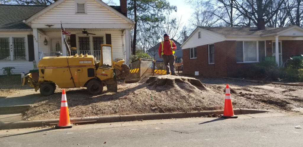 Business queued-photos - Union Tree Experts, Inc.