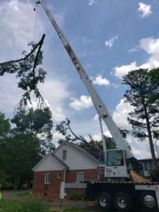 Business queued-photos - Union Tree Experts, Inc.