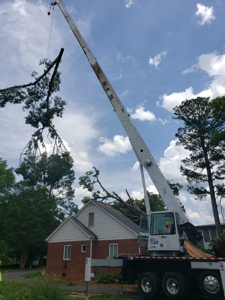 Business queued-photos - Union Tree Experts, Inc.