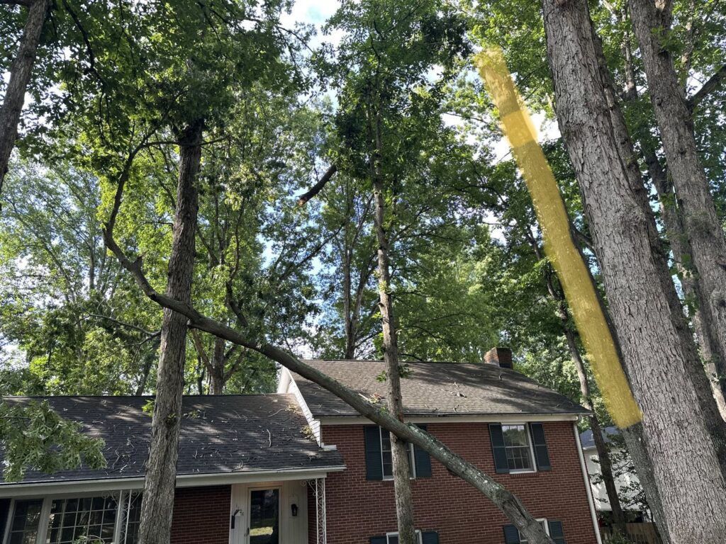 Business queued-photos - Gomez Tree Service and Lawn Care Landscaping