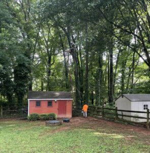 Business queued-photos - Gomez Tree Service and Lawn Care Landscaping