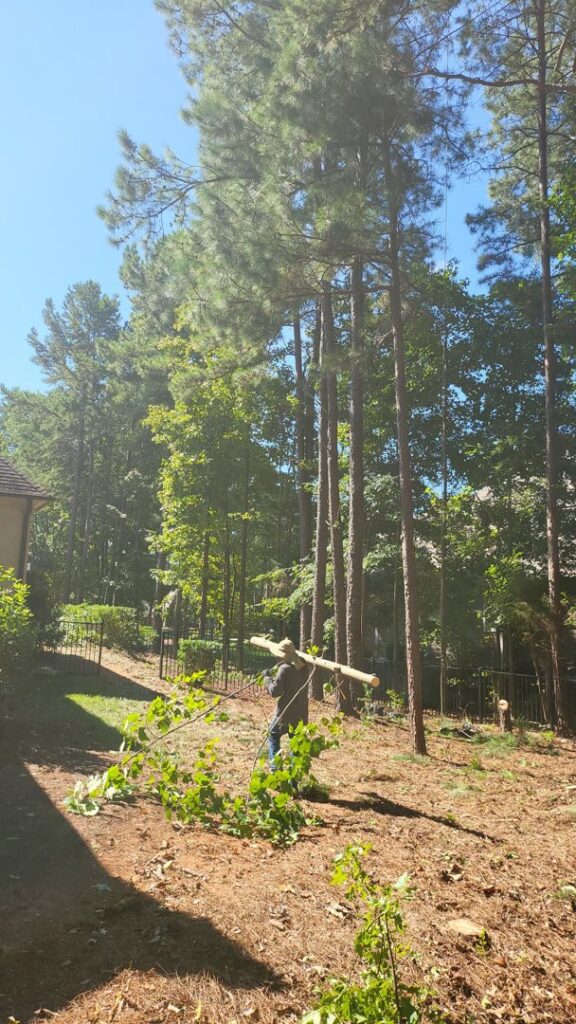 Business queued-photos - Gomez Tree Service and Lawn Care Landscaping