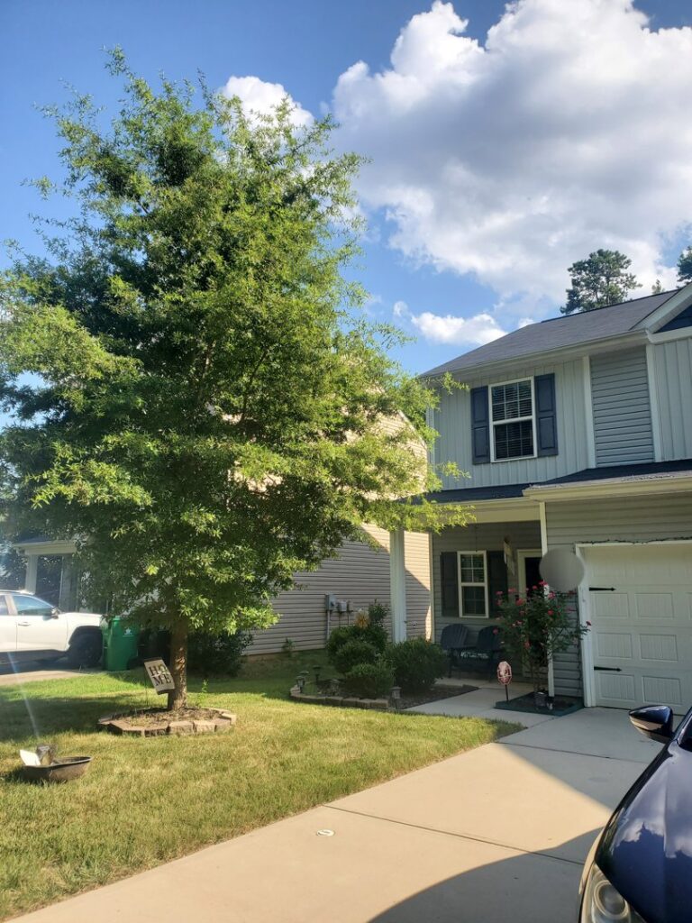 Business queued-photos - Gomez Tree Service and Lawn Care Landscaping