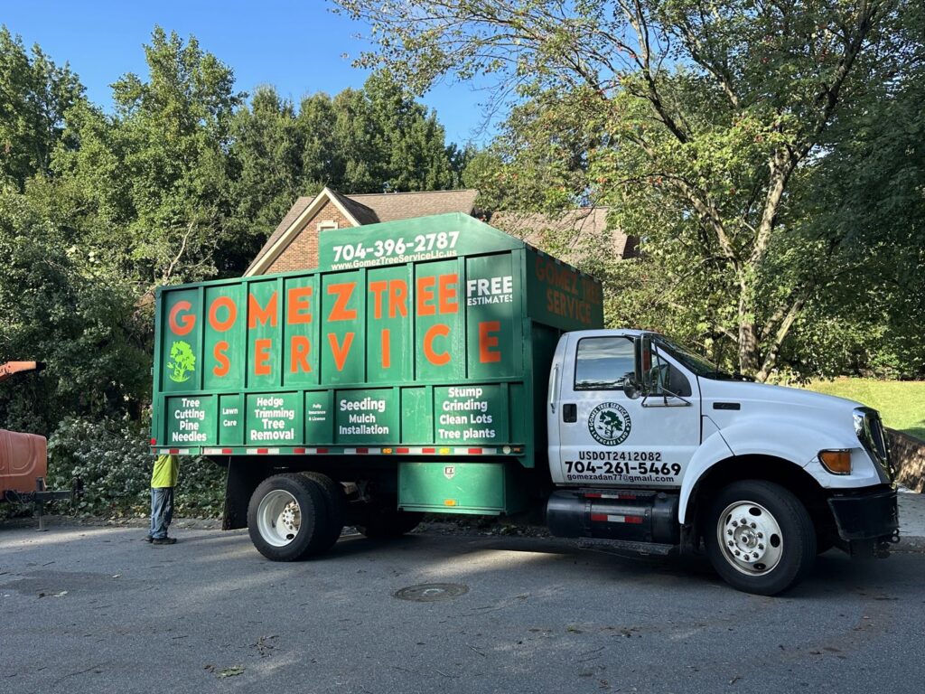 Business queued-photos - Gomez Tree Service and Lawn Care Landscaping