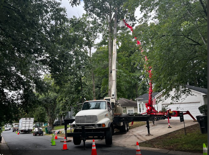 Business queued-photos - Viking Tree Experts