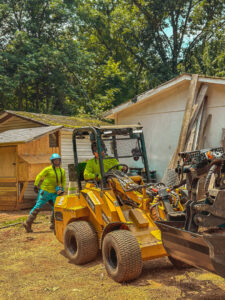 Business queued-photos - Viking Tree Experts