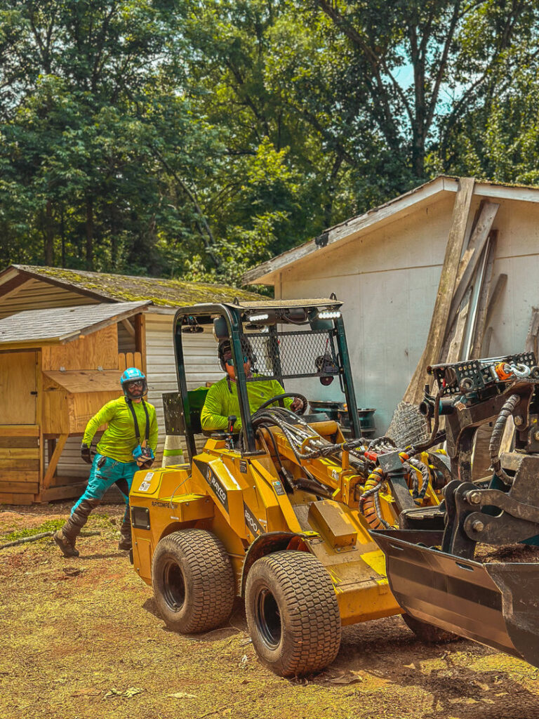 Business queued-photos - Viking Tree Experts