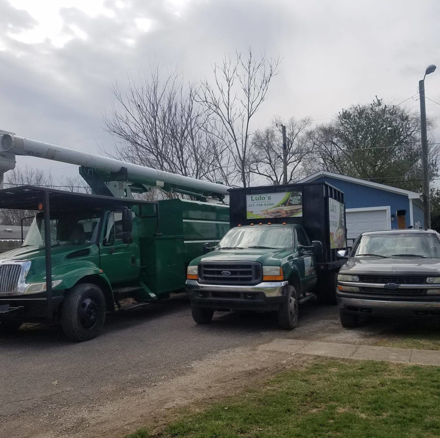 Business queued-photos - Lulo’s tree service