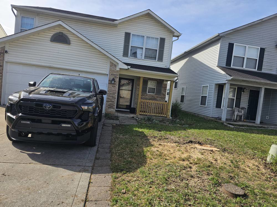 Business queued-photos - Lulo’s tree service