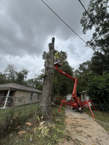 Business queued-photos - NFL Tree Service
