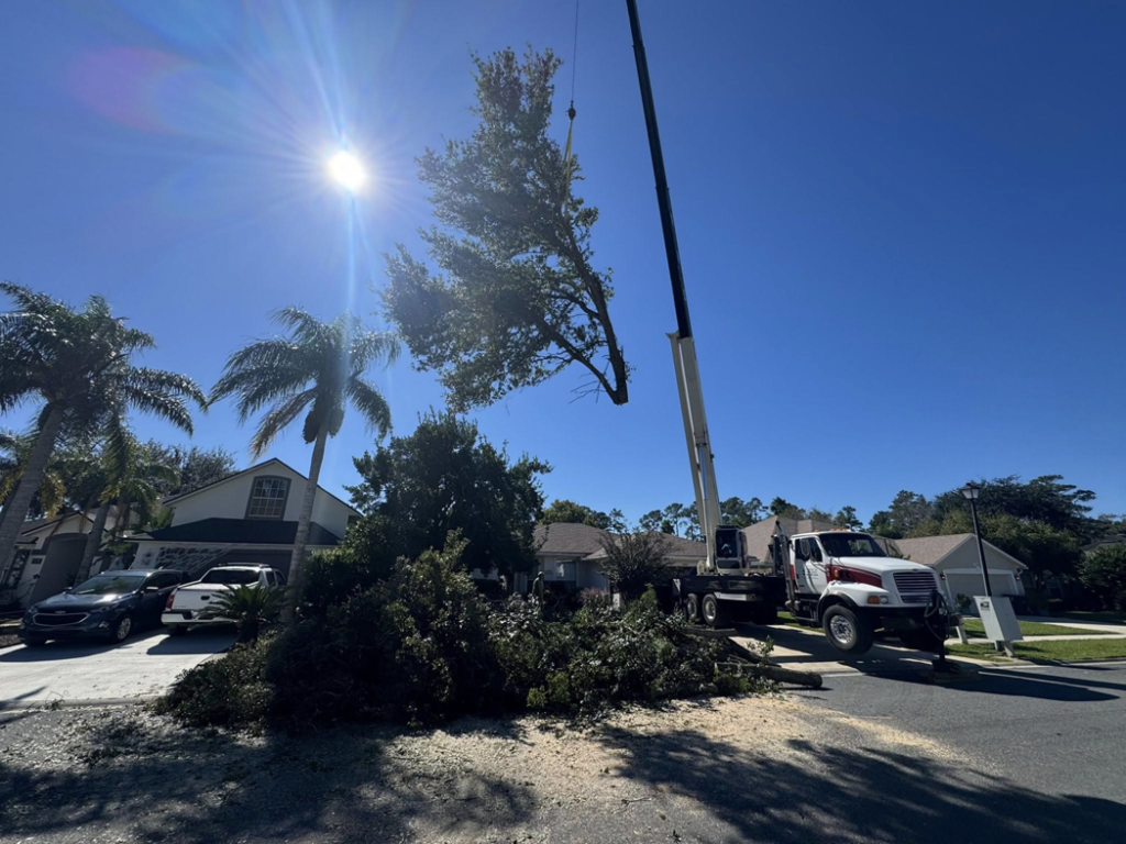 Business queued-photos - NFL Tree Service