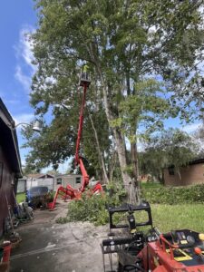 Business queued-photos - NFL Tree Service
