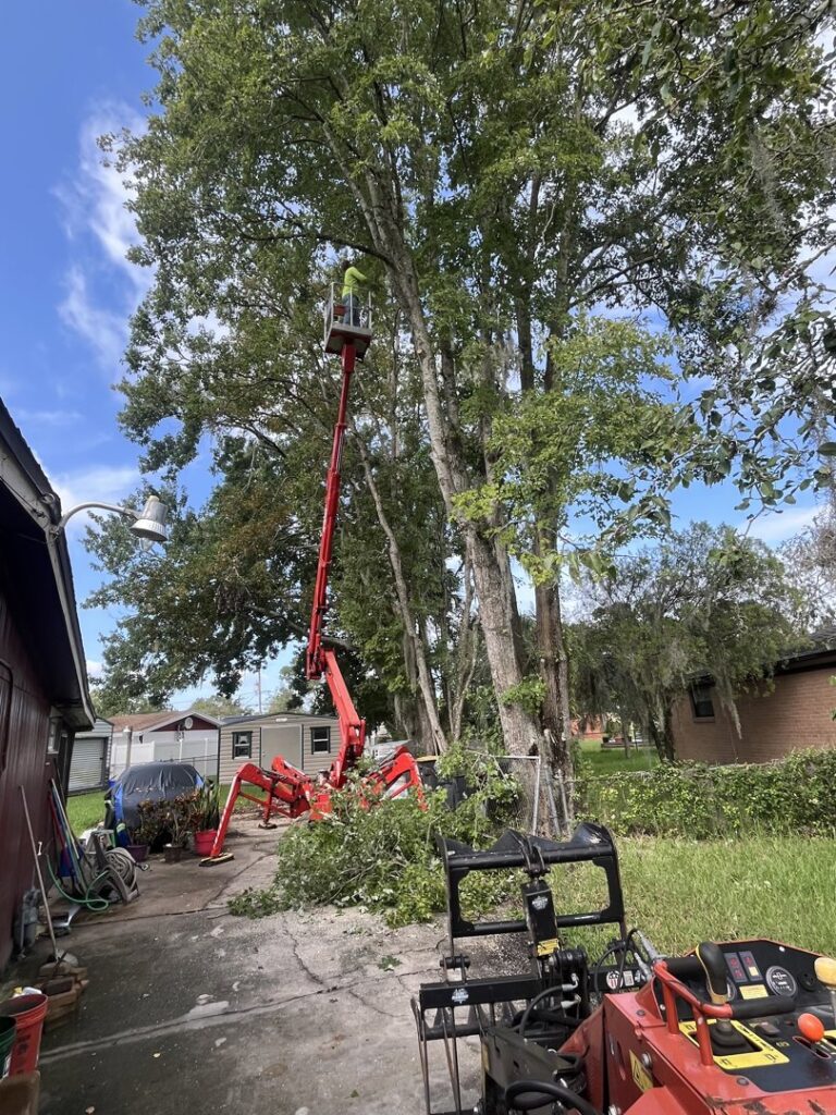 Business queued-photos - NFL Tree Service
