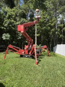 Business queued-photos - NFL Tree Service