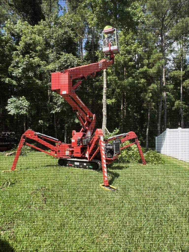 Business queued-photos - NFL Tree Service