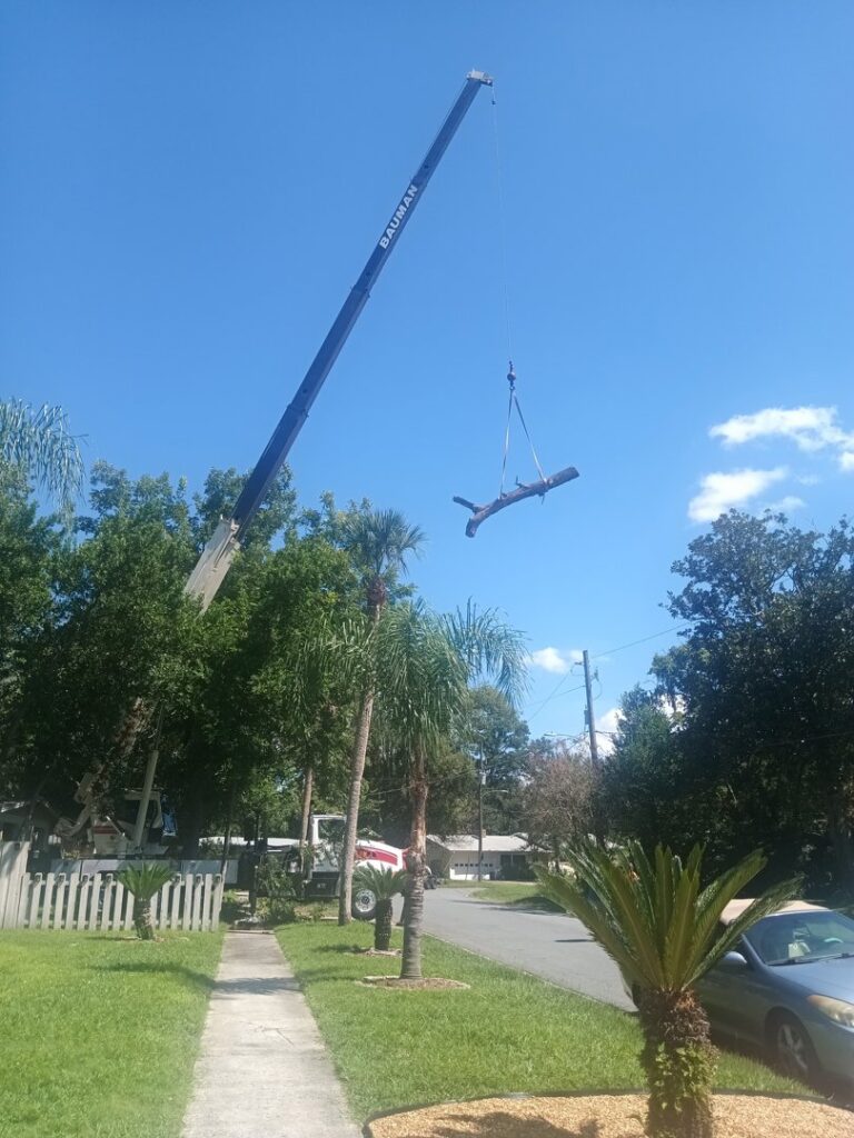 Business queued-photos - NFL Tree Service