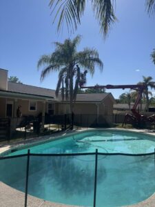 Business queued-photos - NFL Tree Service