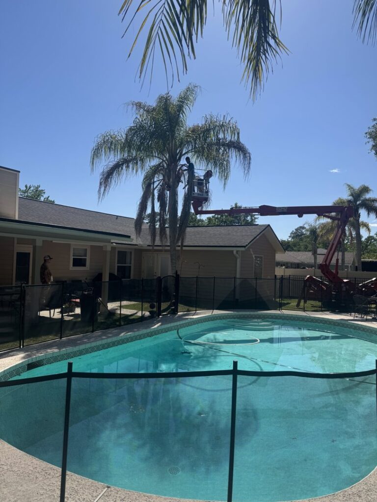 Business queued-photos - NFL Tree Service