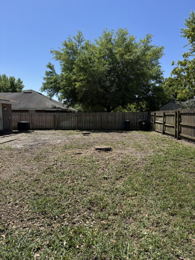 Business queued-photos - NFL Tree Service