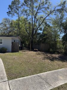 Business queued-photos - NFL Tree Service