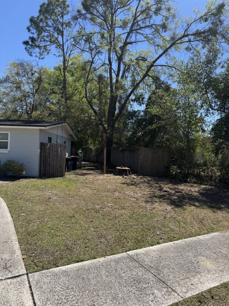 Business queued-photos - NFL Tree Service